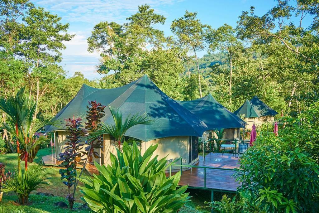 Manoas Bed & Breakfast Uvita Exterior foto