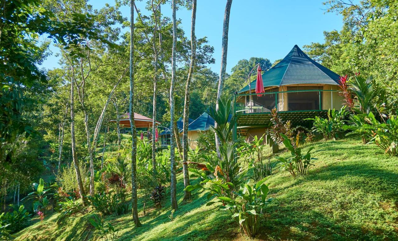 Manoas Bed & Breakfast Uvita Exterior foto