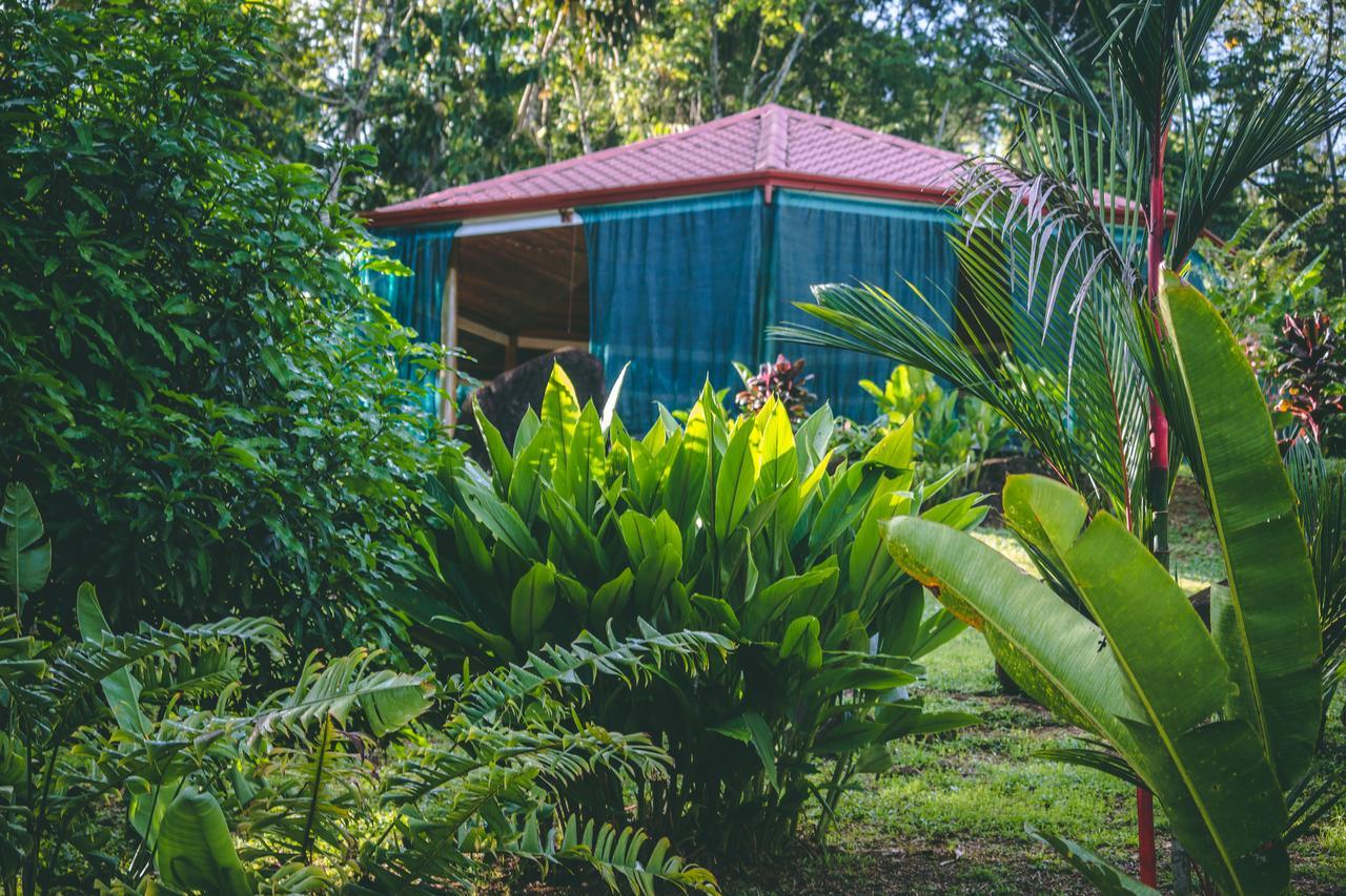 Manoas Bed & Breakfast Uvita Exterior foto